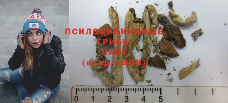 Псилоцибиновые грибы Magic Shrooms  где купить наркотик  Сорочинск 